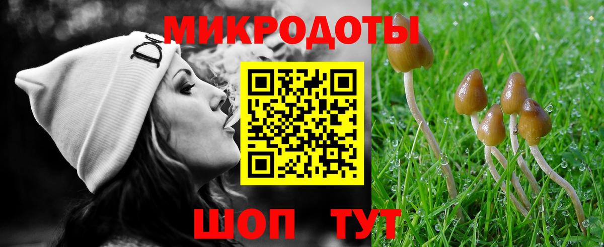 Галлюциногенные грибы Psilocybine cubensis Асино